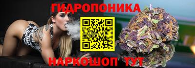 стаф Балахна